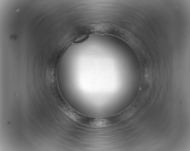 X0000067330514200604030937
