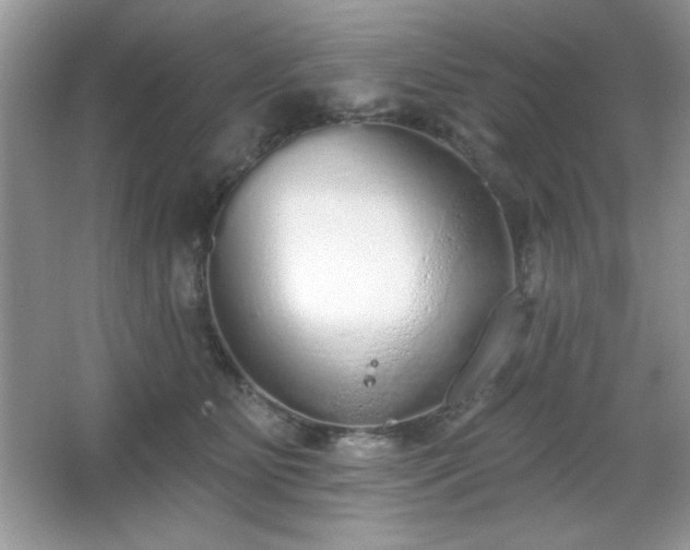 X0000067330515200604030937
