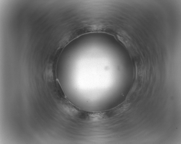 X0000067330516200604030936