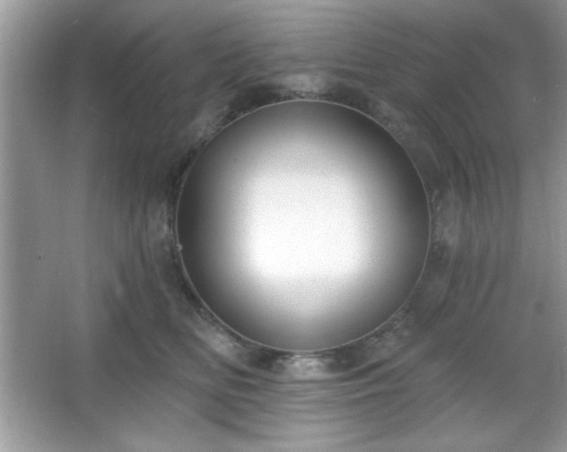 X0000067330518200604030936