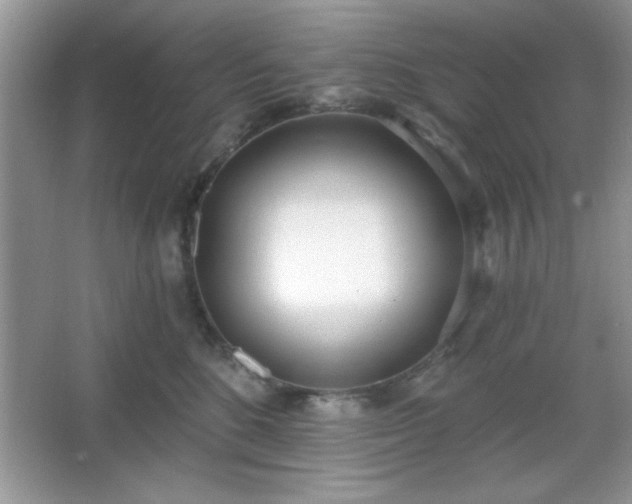 X0000067330520200604030936