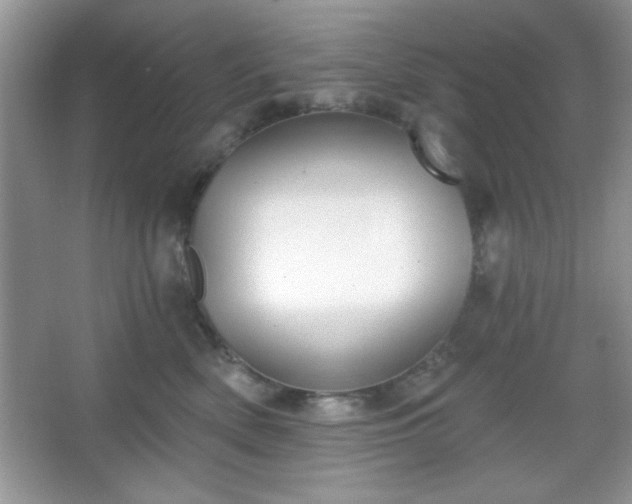 X0000067330522200604030936