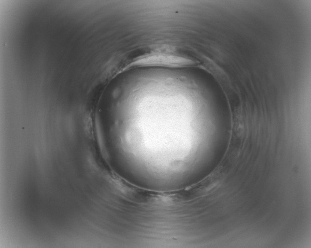 X0000067330523200604030936
