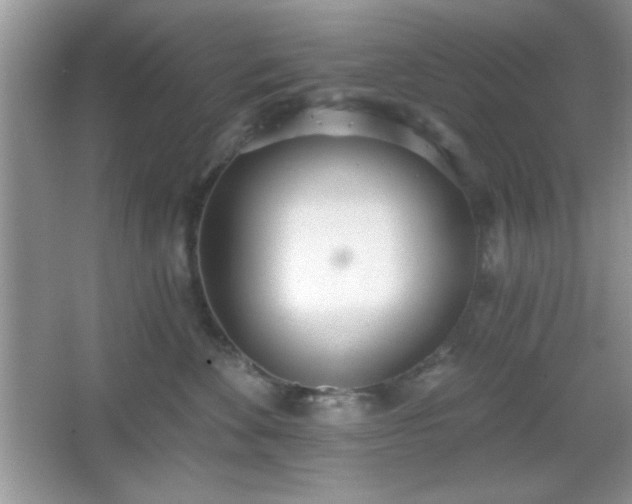 X0000067330524200604030936