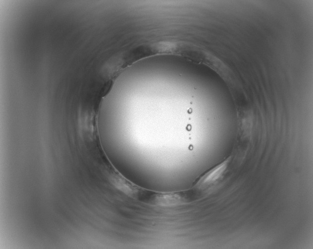 X0000067330525200604030936