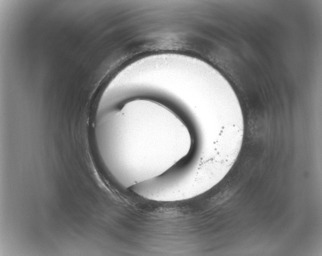X0000067330534200604030936