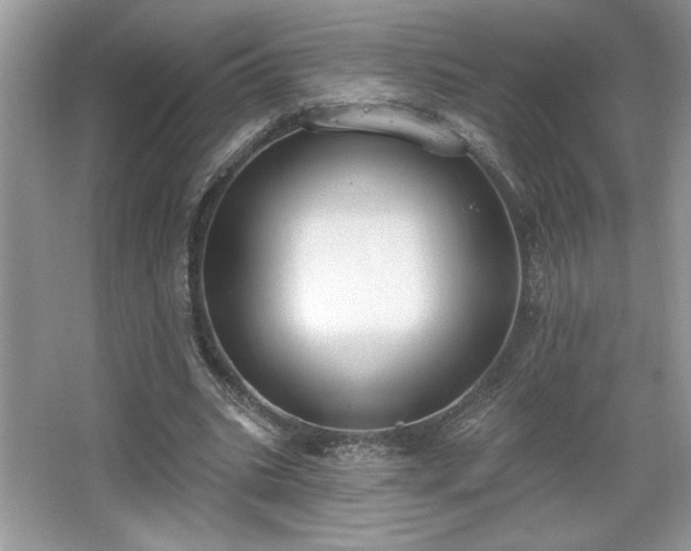 X0000067330535200604030936