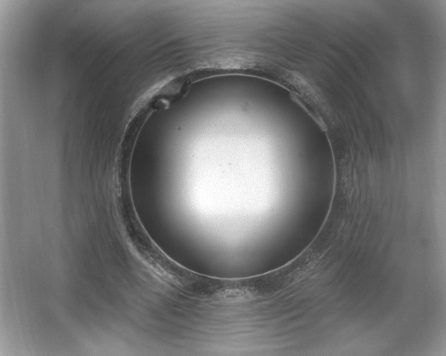 X0000067330536200604030936