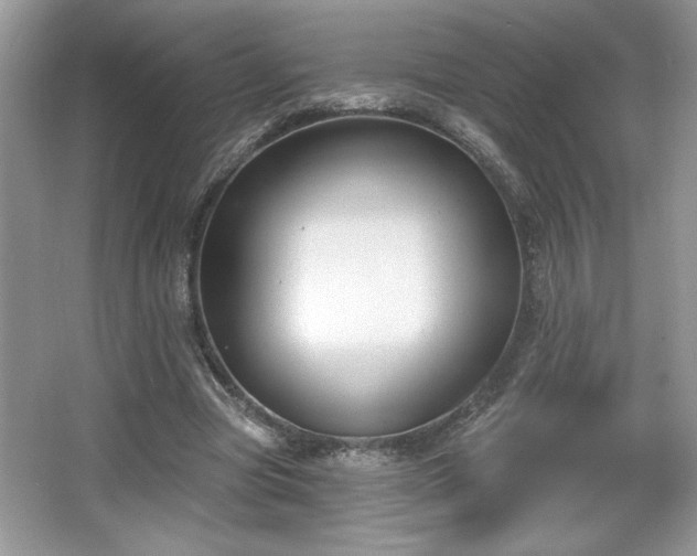 X0000067330537200604030936