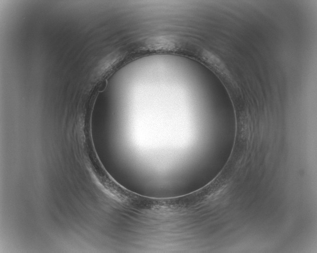 X0000067330538200604030936