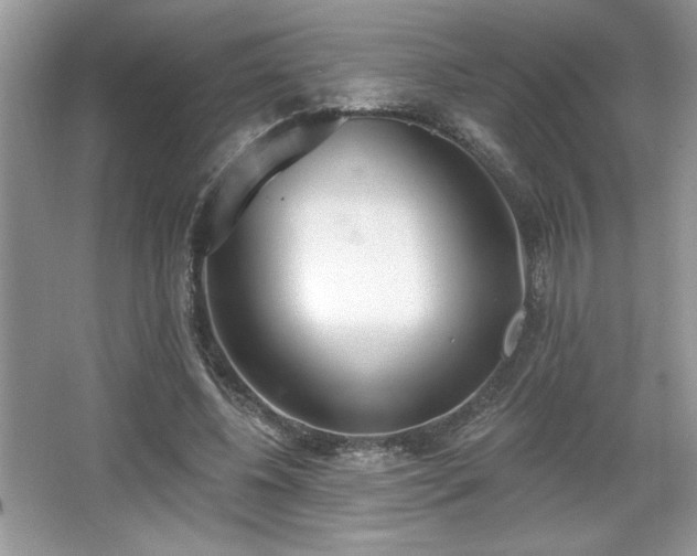 X0000067330540200604030936