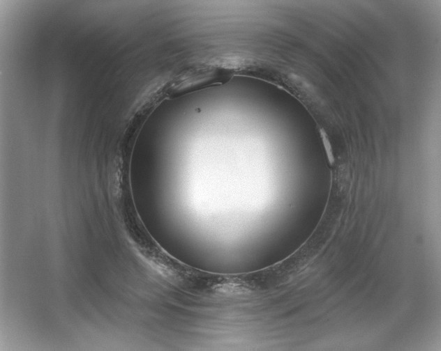 X0000067330544200604030936