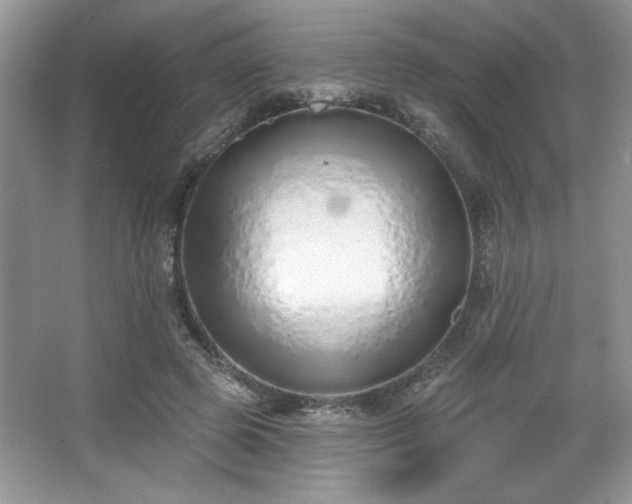 X0000067330545200604030936