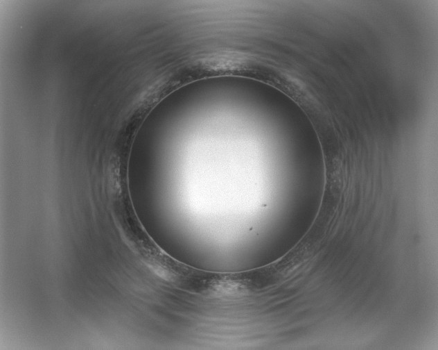X0000067330547200604030936