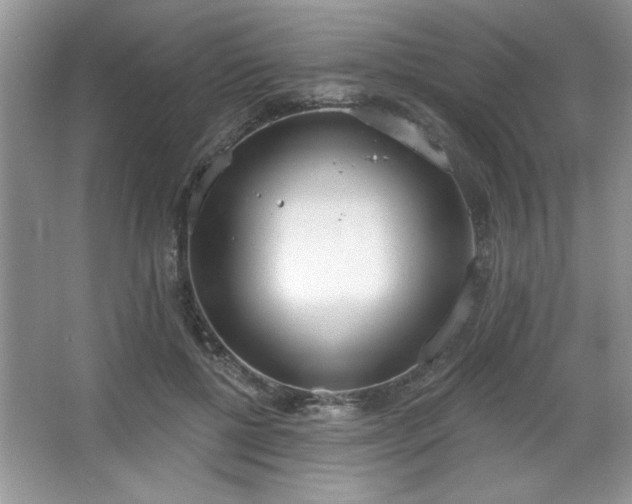 X0000067330552200604030936