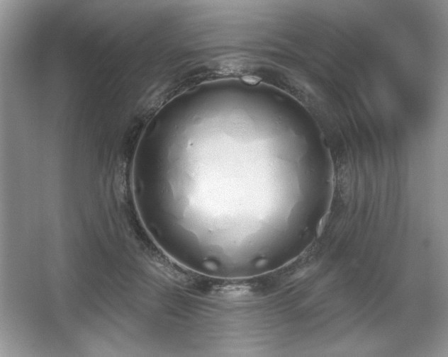 X0000067330554200604030936