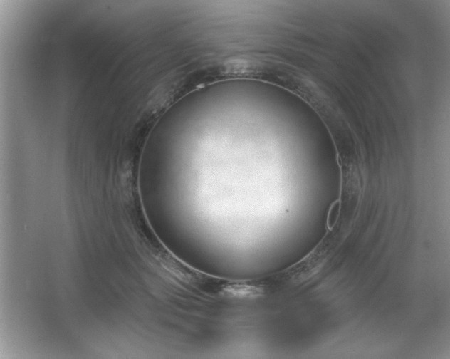 X0000067330557200604030936