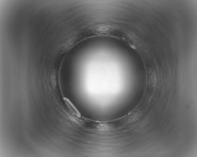 X0000067330562200604030936
