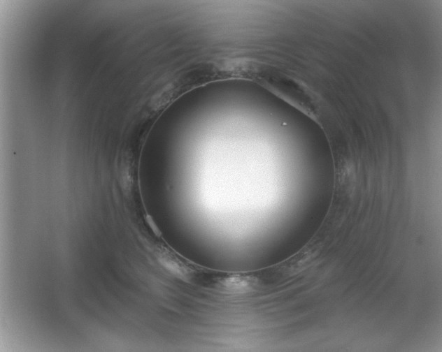 X0000067330566200604030936