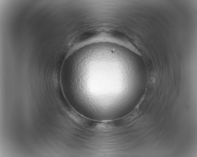 X0000067330568200604030936