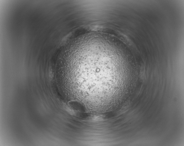 X0000067330569200604030936