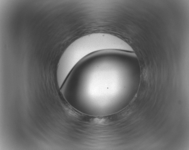 X0000067330570200604030936