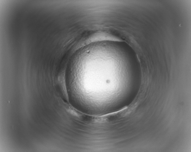 X0000067330576200604030936