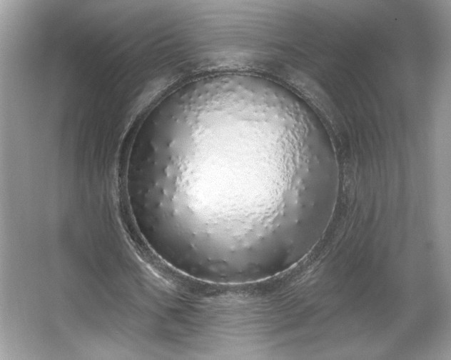 X0000067330578200604030935