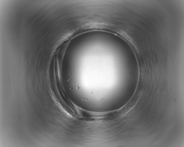 X0000067330581200604030935