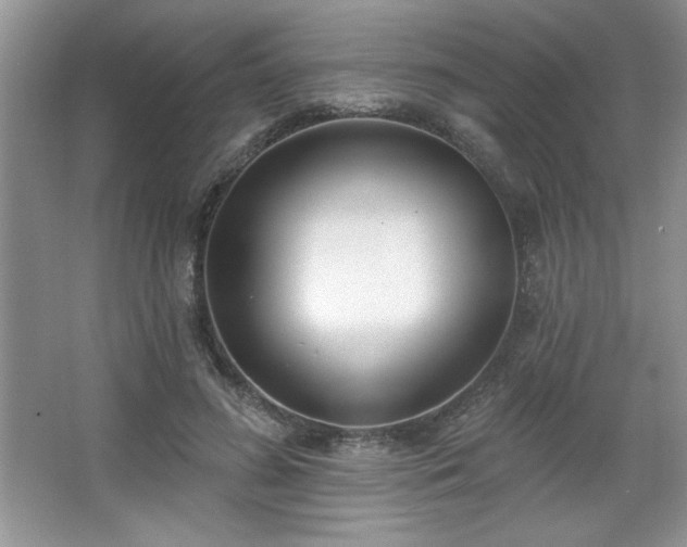 X0000067330596200604030935