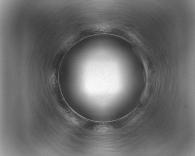 X0000067330597200604030935