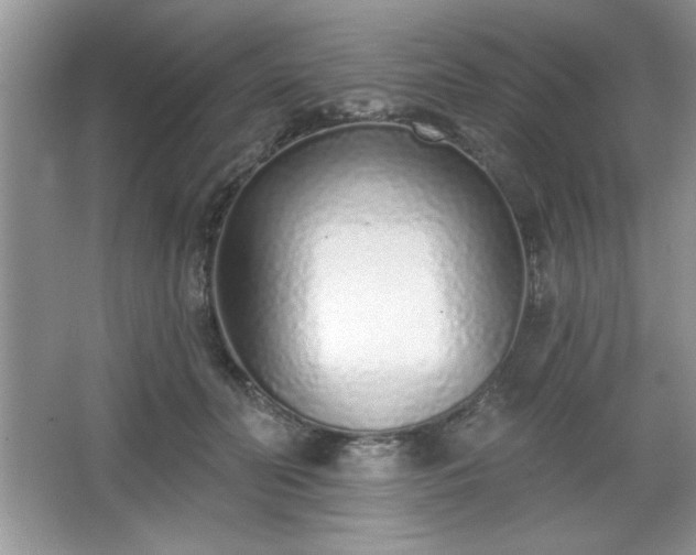 X0000067330606200604030935