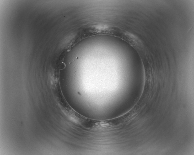 X0000067330607200604030935