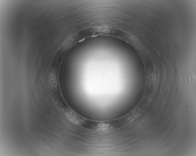 X0000067330609200604030935