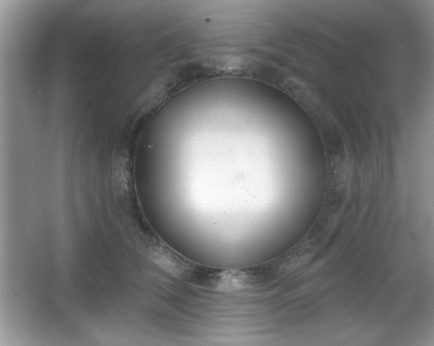 X0000067330612200604030935