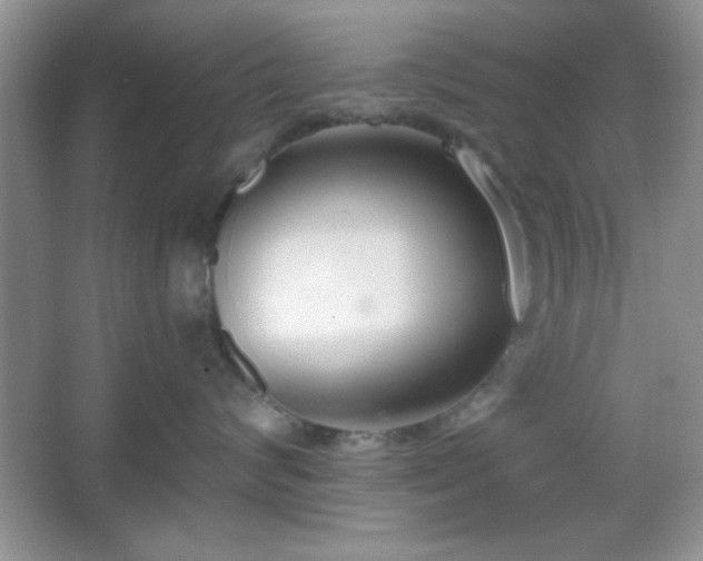 X0000067330624200604030935