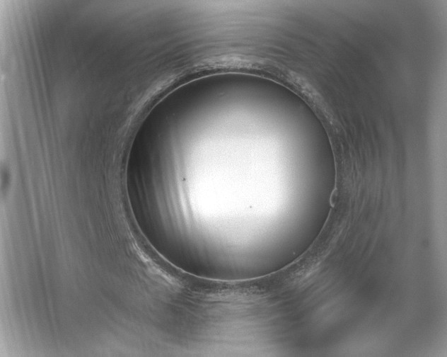X0000067330625200604030934