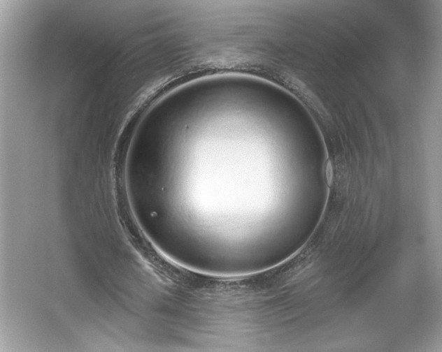 X0000067330626200604030934