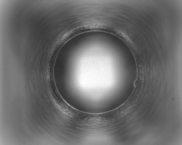 X0000067330631200604030934