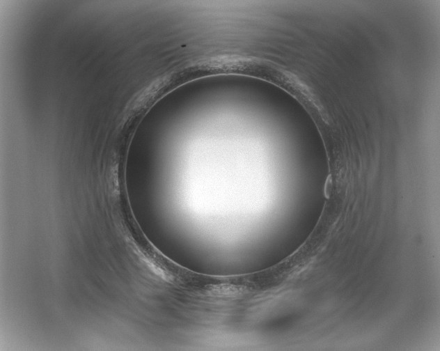 X0000067330633200604030934