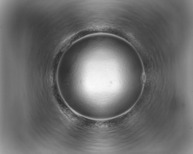 X0000067330640200604030934