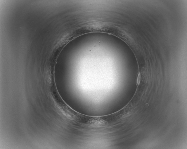 X0000067330642200604030934