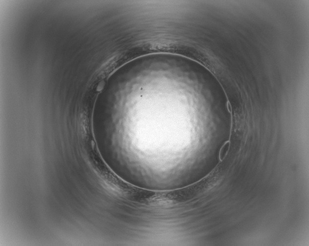 X0000067330648200604030934