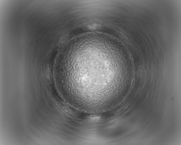 X0000067330651200604030934