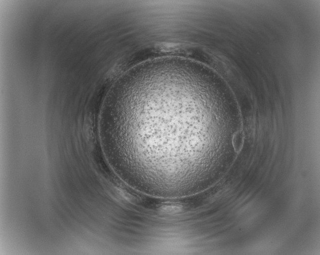X0000067330653200604030934