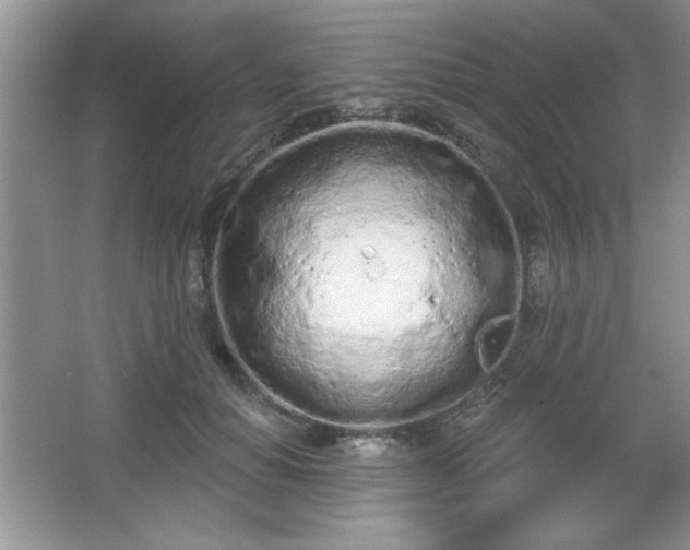 X0000067330654200604030934