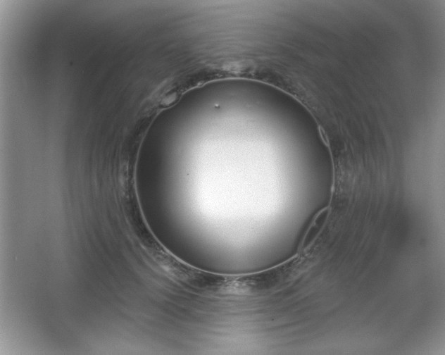 X0000067330656200604030934