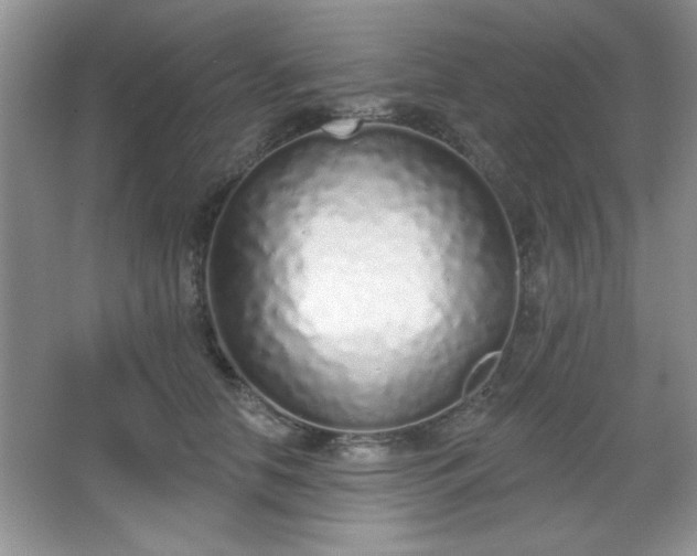 X0000067330658200604030934