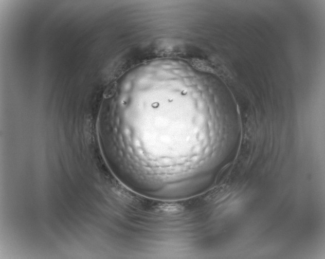 X0000067330659200604030934
