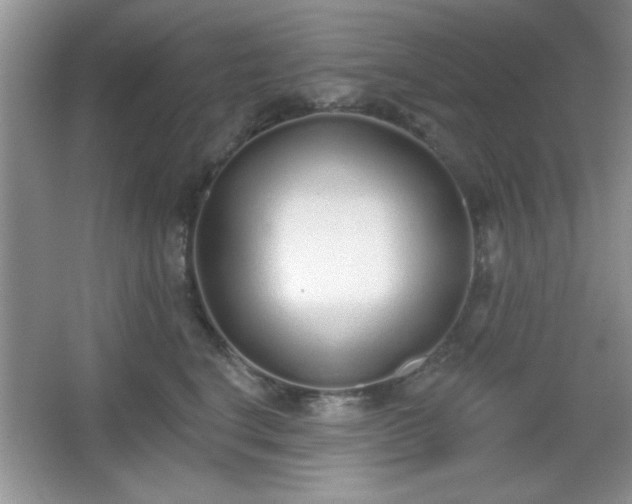 X0000067330664200604030935